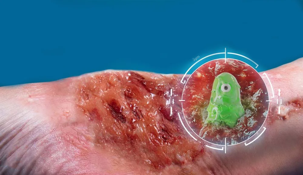 a green frog in a person's hand