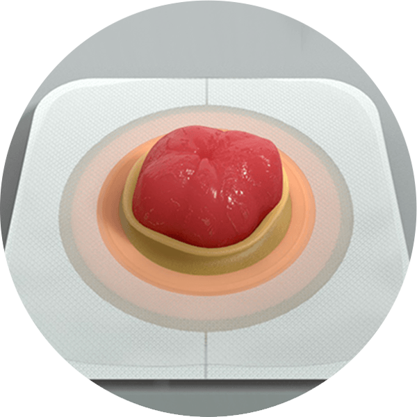 un piatto con del cibo su di esso